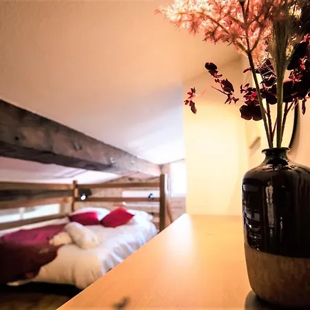 Bel Cosy Au Coeur De Apartment *